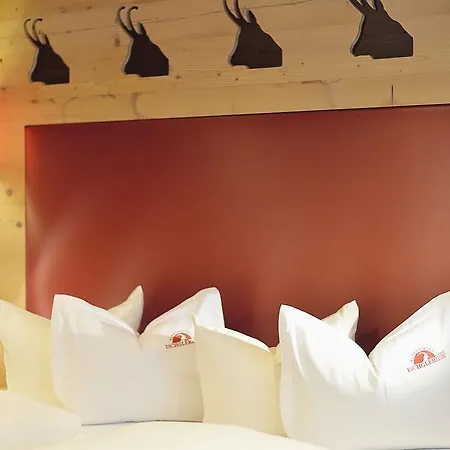 Alpenhotel Ischglerhof 4* イシュグル